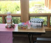 2020 08 30 ToriBabyShower 003